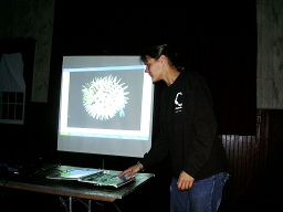 Becky displays a close-up of tropical creatures